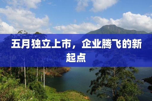 五月独立上市，企业腾飞的新起点