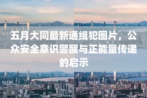 五月大同最新通缉犯图片，公众安全意识警醒与正能量传递的启示