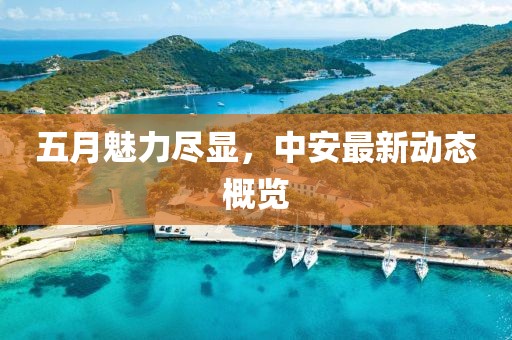 五月魅力尽显，中安最新动态概览