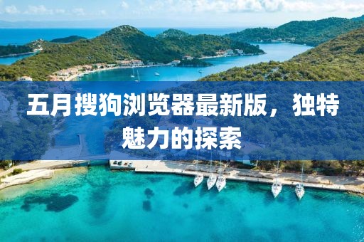 五月搜狗浏览器最新版，独特魅力的探索