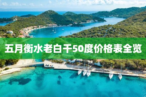 五月衡水老白干50度价格表全览