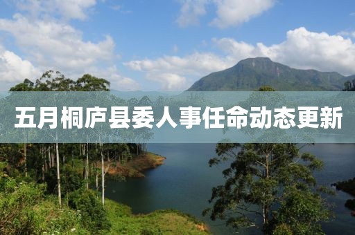 五月桐庐县委人事任命动态更新