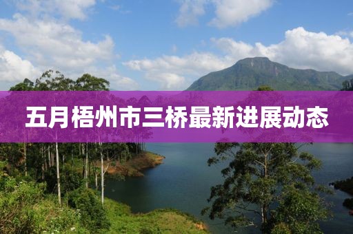 五月梧州市三桥最新进展动态