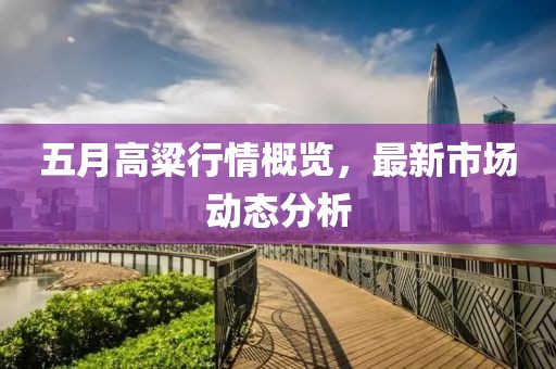 五月高粱行情概览，最新市场动态分析