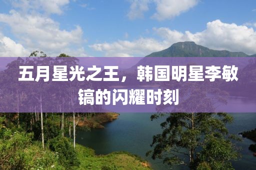 五月星光之王，韩国明星李敏镐的闪耀时刻