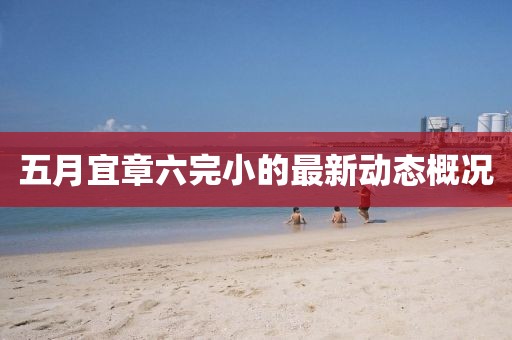 五月宜章六完小的最新动态概况