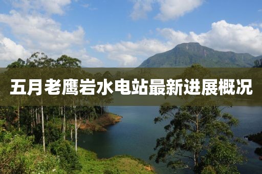 五月老鹰岩水电站最新进展概况