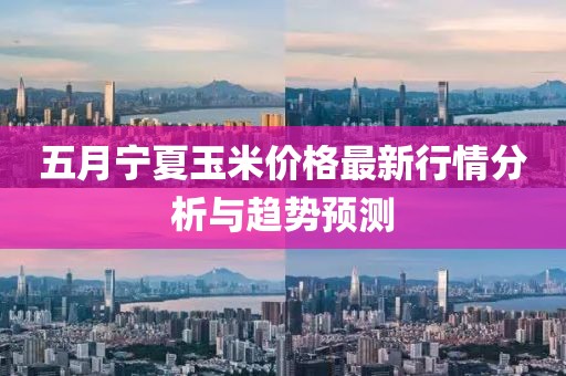 五月宁夏玉米价格最新行情分析与趋势预测