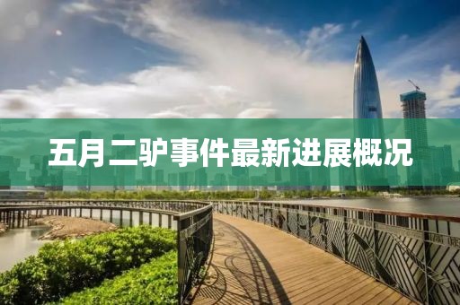 五月二驴事件最新进展概况