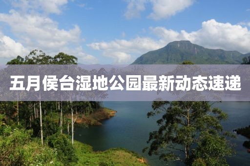 五月侯台湿地公园最新动态速递