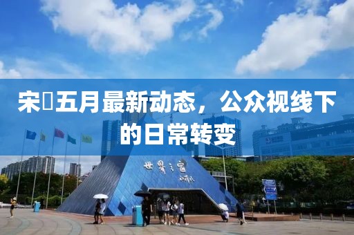 宋喆五月最新动态，公众视线下的日常转变