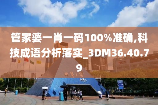 管家婆一肖一码100%准确,科技成语分析落实_3DM36.40.79