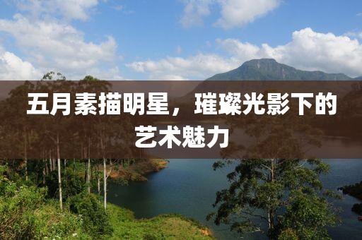 五月素描明星，璀璨光影下的艺术魅力