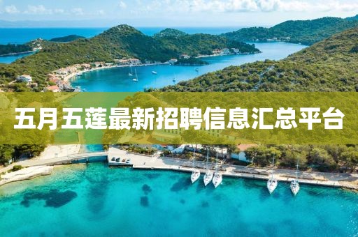 五月五莲最新招聘信息汇总平台
