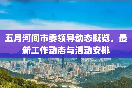 五月河间市委领导动态概览，最新工作动态与活动安排
