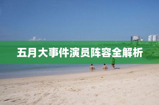 五月大事件演员阵容全解析