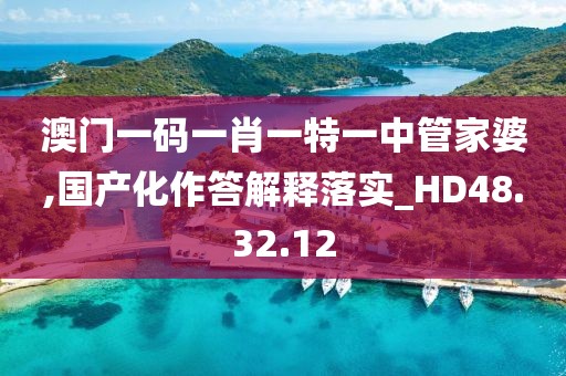 澳门一码一肖一特一中管家婆,国产化作答解释落实_HD48.32.12