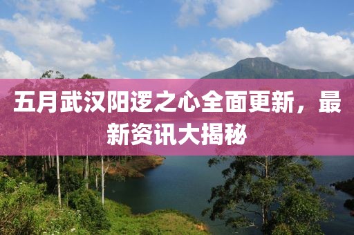 五月武汉阳逻之心全面更新，最新资讯大揭秘