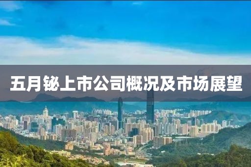 五月铋上市公司概况及市场展望
