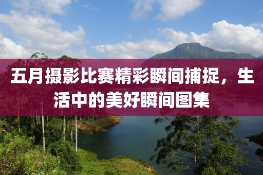 五月摄影比赛精彩瞬间捕捉，生活中的美好瞬间图集