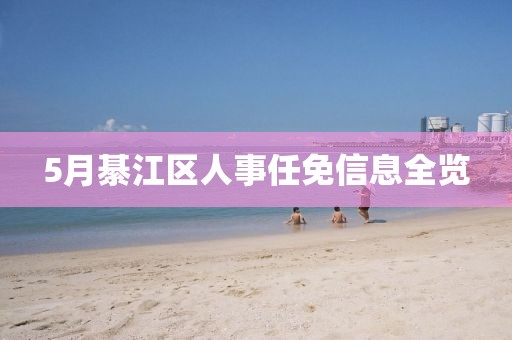 5月綦江区人事任免信息全览