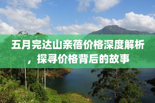 五月完达山亲蓓价格深度解析，探寻价格背后的故事
