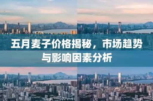 五月麦子价格揭秘，市场趋势与影响因素分析