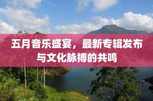 五月音乐盛宴，最新专辑发布与文化脉搏的共鸣