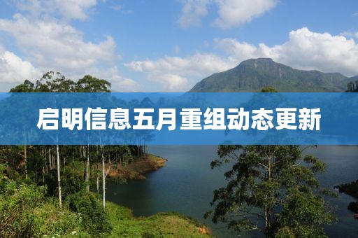 启明信息五月重组动态更新