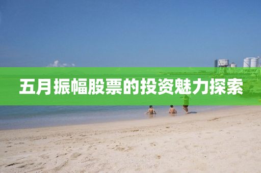 五月振幅股票的投资魅力探索