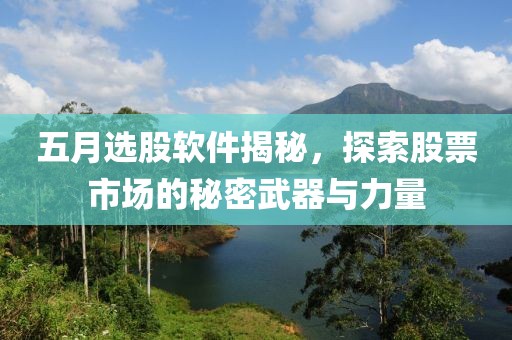 五月选股软件揭秘，探索股票市场的秘密武器与力量