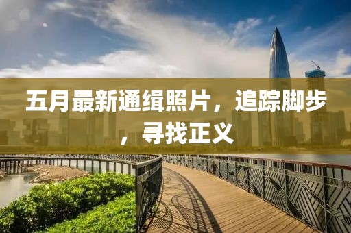 五月最新通缉照片，追踪脚步，寻找正义