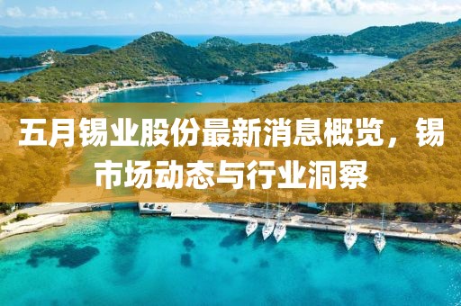 五月锡业股份最新消息概览，锡市场动态与行业洞察
