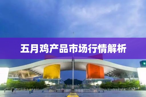 五月鸡产品市场行情解析