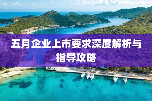 五月企业上市要求深度解析与指导攻略