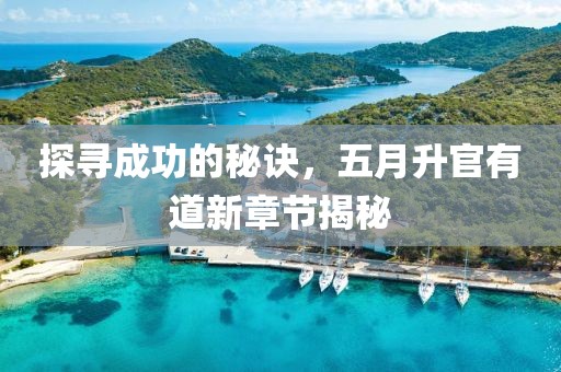 探寻成功的秘诀，五月升官有道新章节揭秘