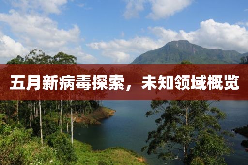 五月新病毒探索，未知领域概览