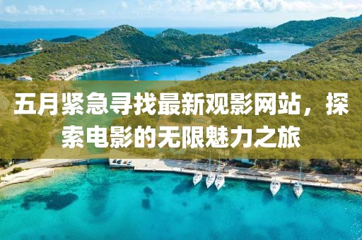 五月紧急寻找最新观影网站，探索电影的无限魅力之旅