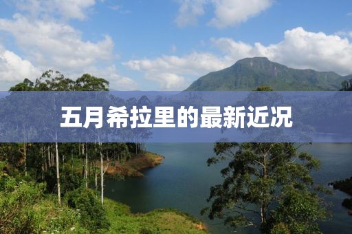 五月希拉里的最新近况