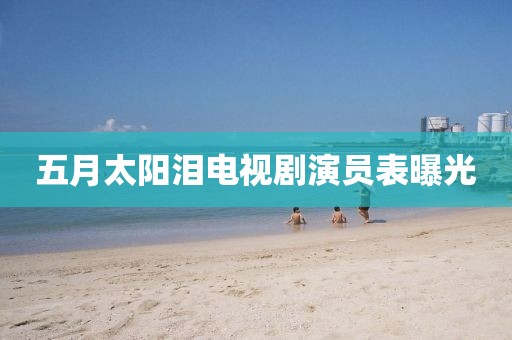 五月太阳泪电视剧演员表曝光