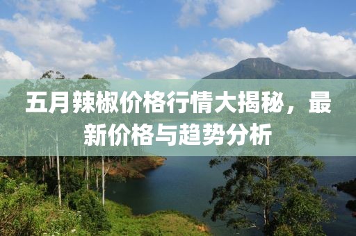 五月辣椒价格行情大揭秘，最新价格与趋势分析
