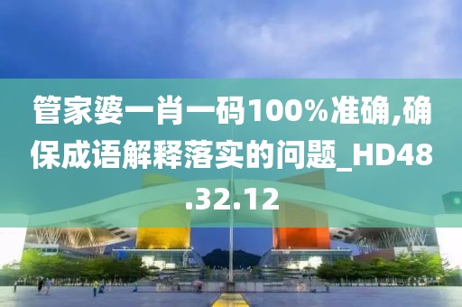 管家婆一肖一码100%准确,确保成语解释落实的问题_HD48.32.12