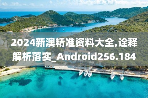 2024新澳精准资料大全,诠释解析落实_Android256.184