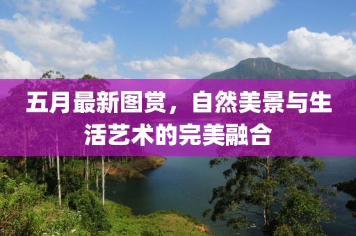 五月最新图赏，自然美景与生活艺术的完美融合