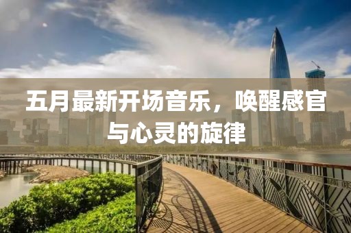 五月最新开场音乐，唤醒感官与心灵的旋律