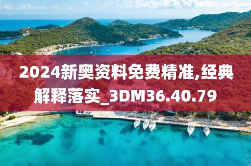 2024新奥资料免费精准,经典解释落实_3DM36.40.79