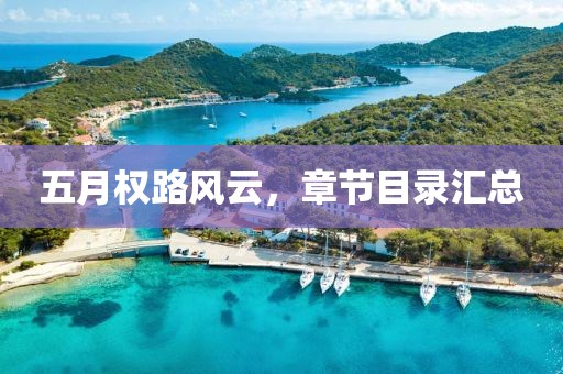 五月权路风云，章节目录汇总