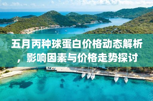 五月丙种球蛋白价格动态解析，影响因素与价格走势探讨