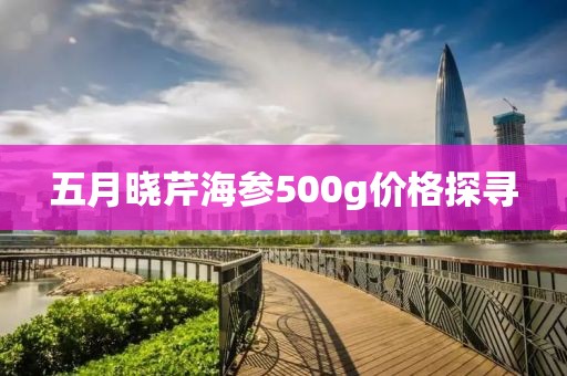 五月晓芹海参500g价格探寻
