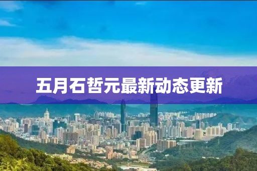 五月石哲元最新动态更新